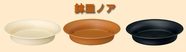 鉢皿ノア