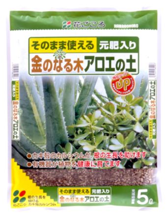 金のなる木アロエの土
